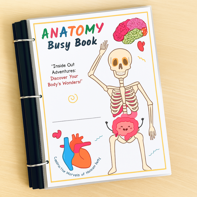 Anatomini