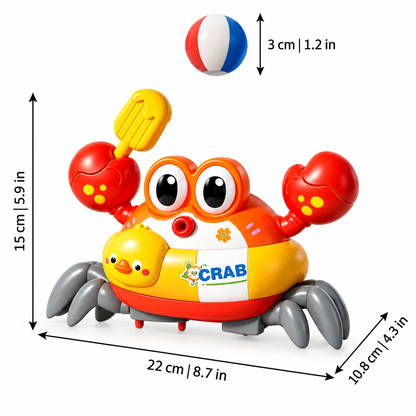 TanzKrabbe