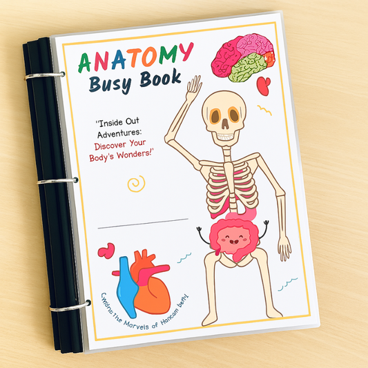 Anatomini