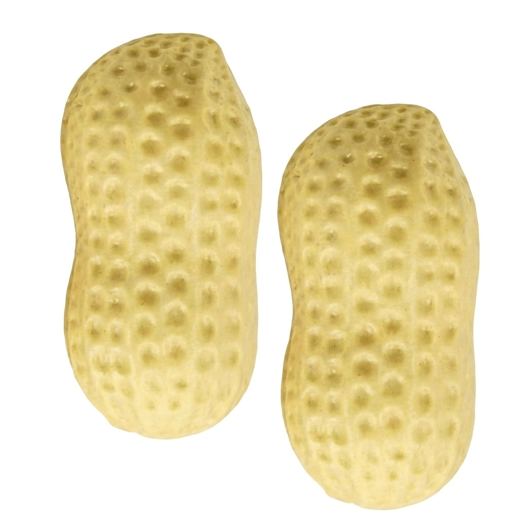 KnautschNuss