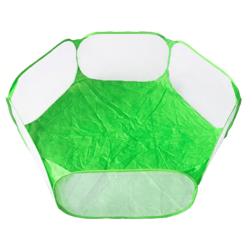Kindgarten